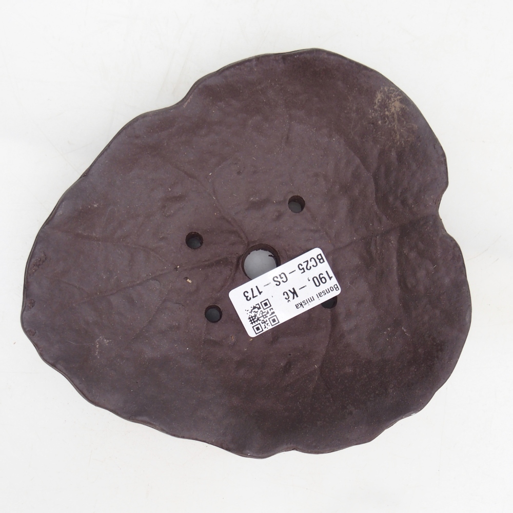 Keramisch Schelp 16 x 14,5 x 4 cm , kleur bruin