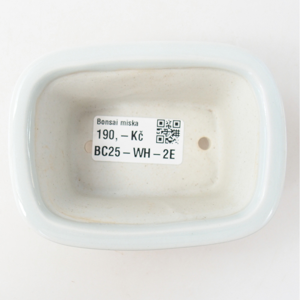 Mini bonsaischaal 10 x 7,5 x 4 cm, kleur wit