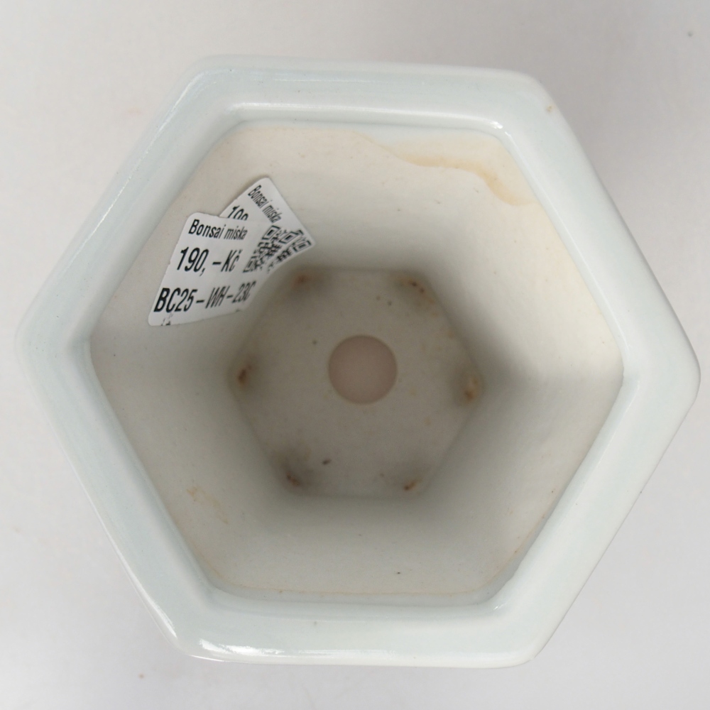 Bonsaischaal van keramiek 10 x 9 x 9 cm, kleur wit