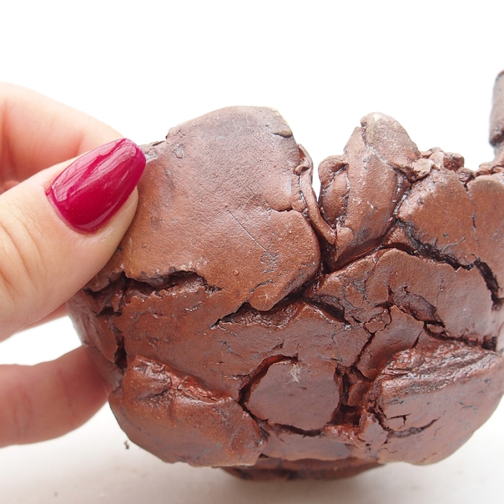 Keramisch Schelp 10 x 9 x 7 cm , kleur bruin