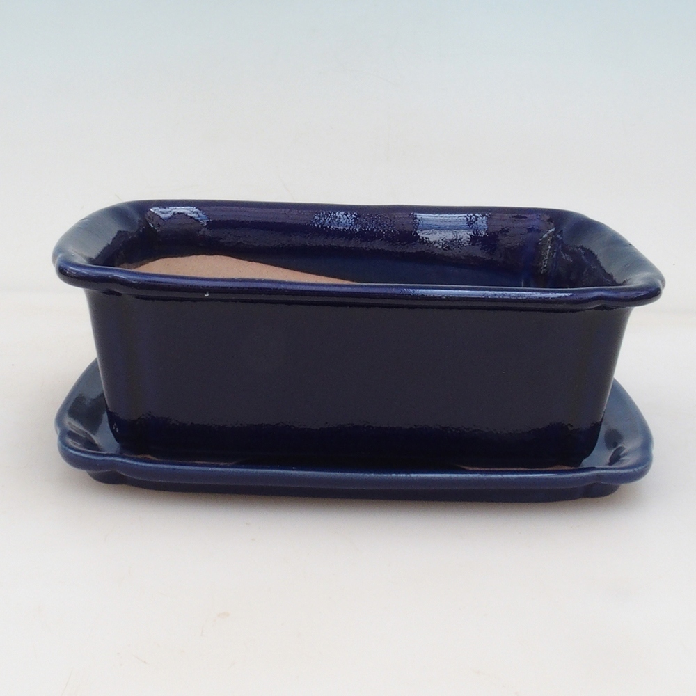 Bonsai kom + schotel H50 - blauw