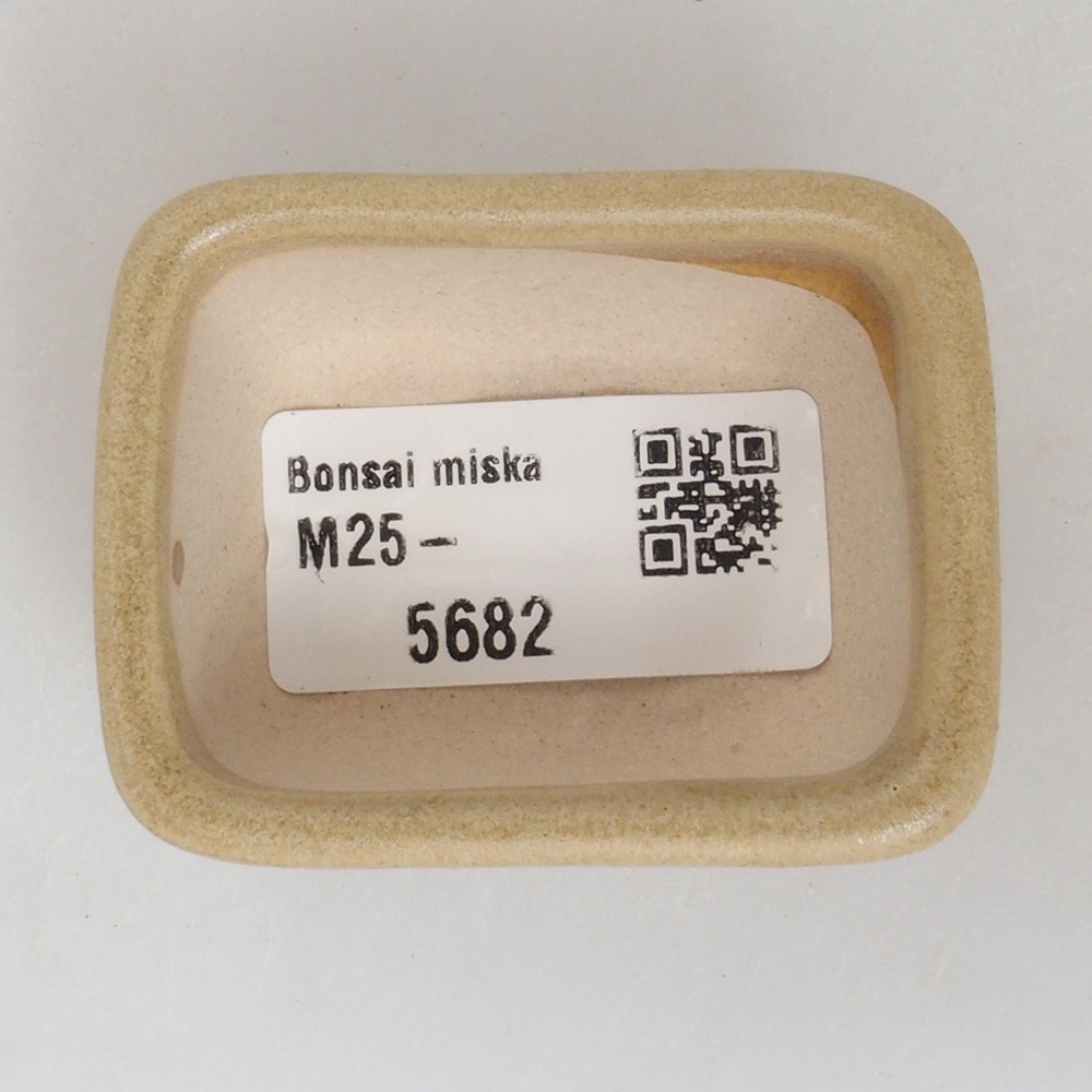 Mini bonsaischaal 5,5 x 4,5 x 2,5 cm, bruin