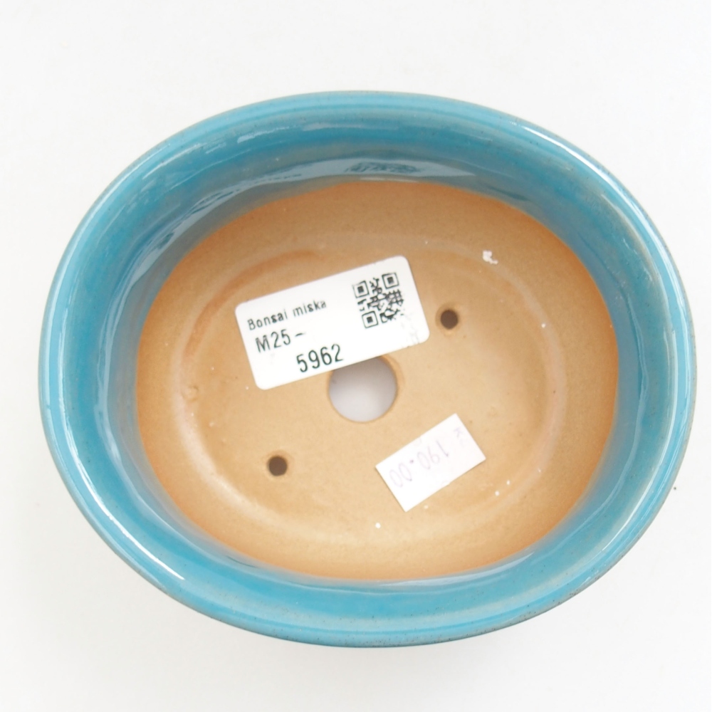 Bonsaischaal van keramiek 22 x 17 x 5 cm, groen