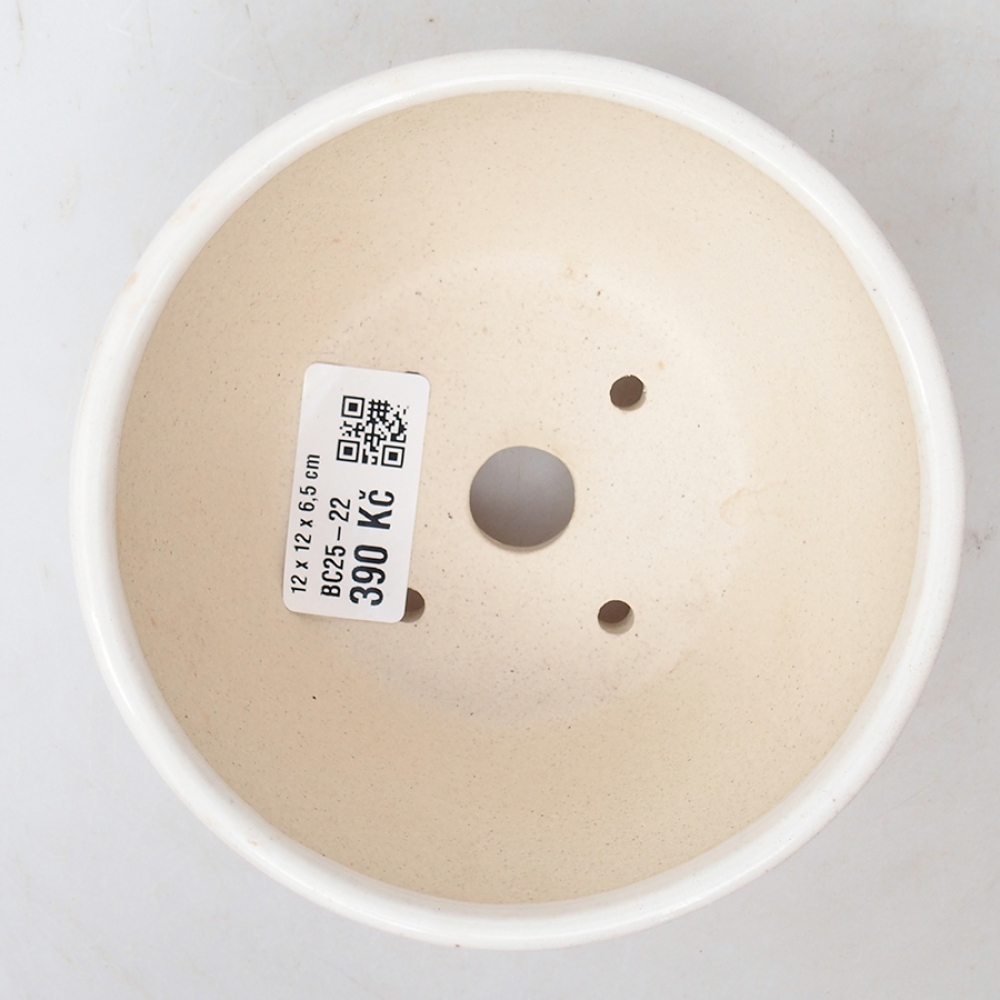 Bonsaischaal van keramiek 12 x 12 x 6,5 cm, kleur wit