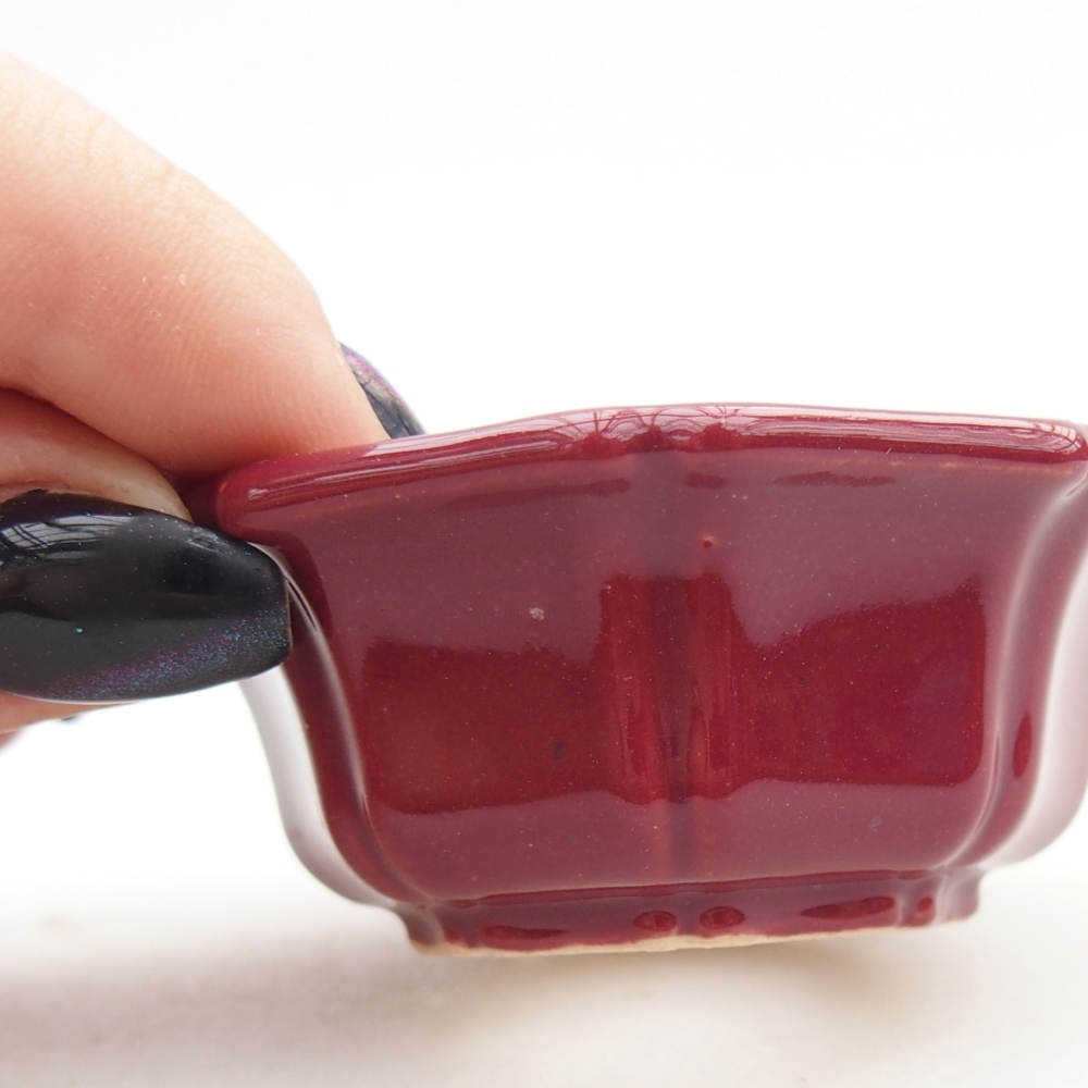 Mini bonsaischaal 6 x 6 x 2,5 cm, bordeauxrood