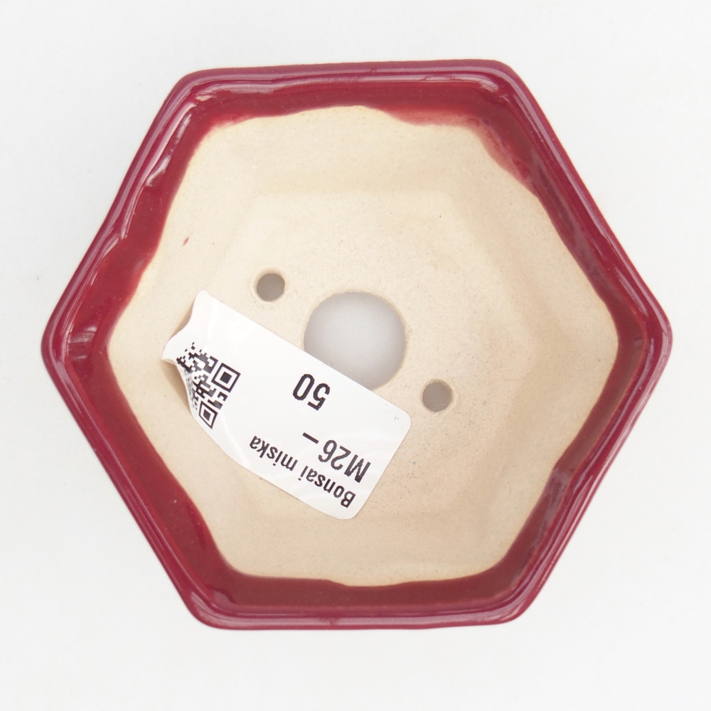 Mini bonsaischaal 8 x 7 x 4 cm, bordeauxrood