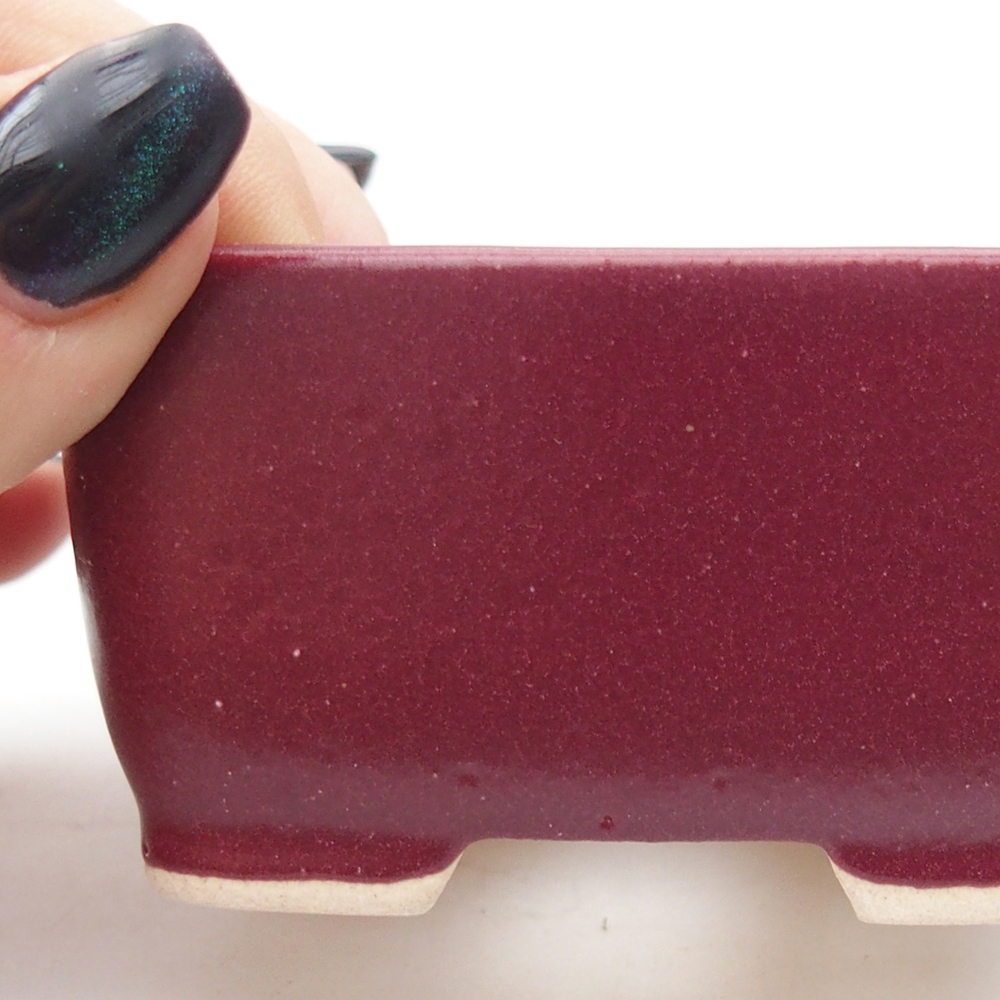 Mini bonsaischaal 7 x 7 x 4 cm, bordeauxrood
