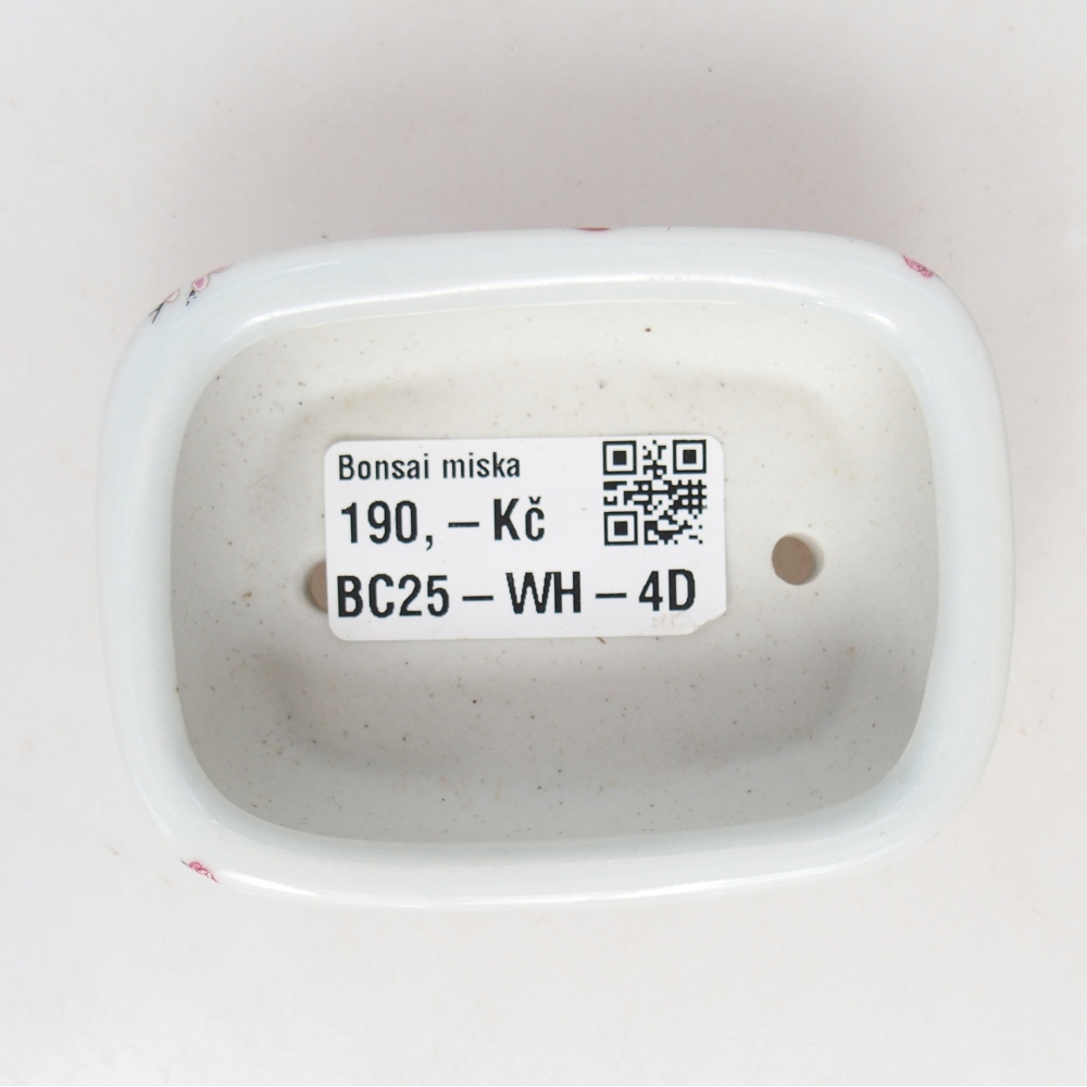 Mini bonsaischaal 8 x 6 x 3 cm, wit