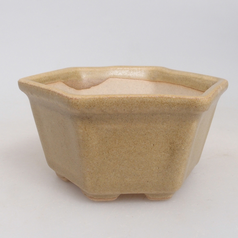 Mini bonsaischaal 8 x 7 x 4 cm, bruin