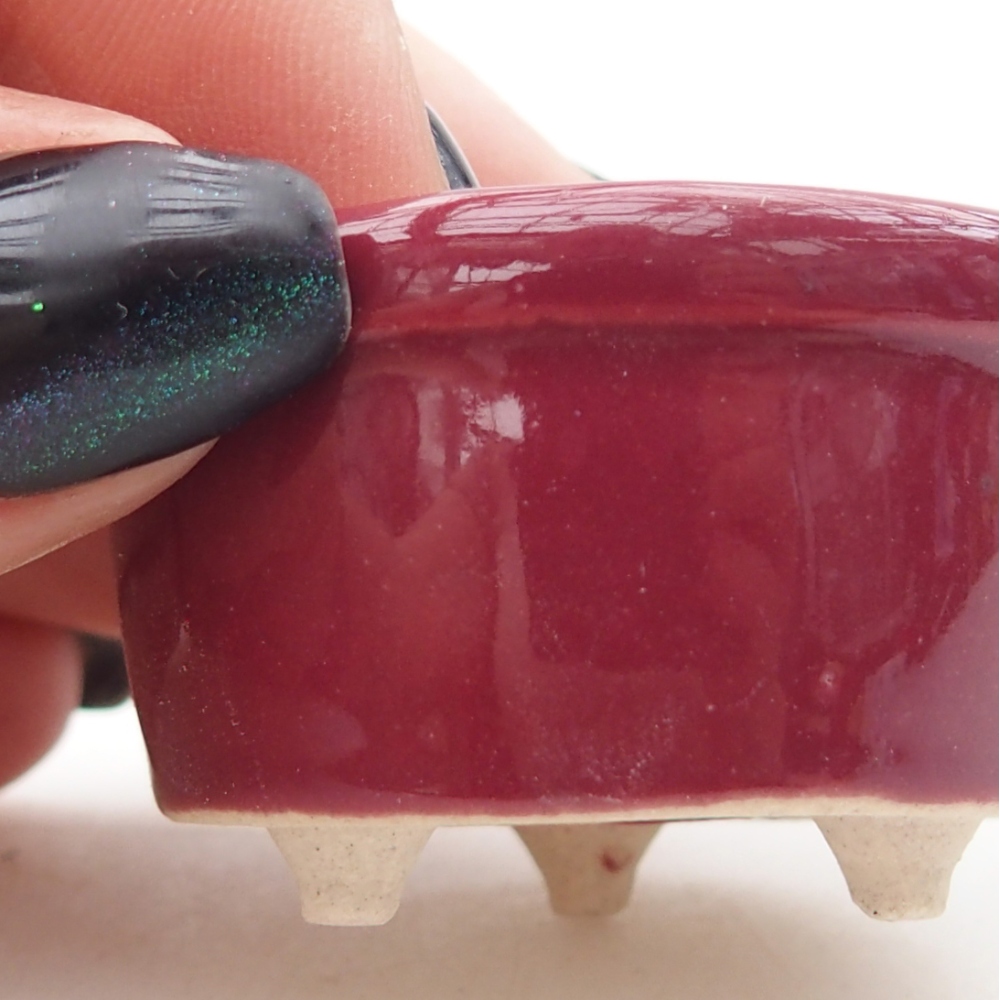 Mini bonsaischaal 4 x 4 x 2 cm, bordeauxrood