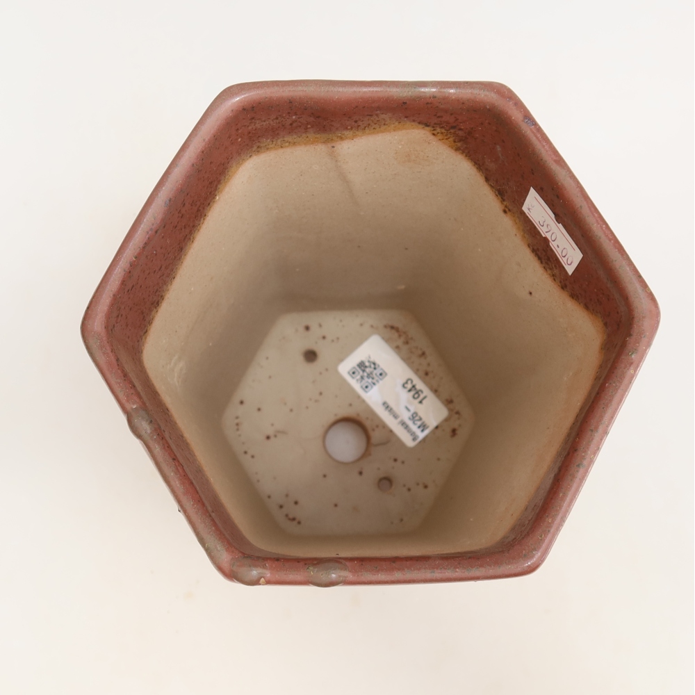 Keramische bonsaipot 13 x 12 x 17 cm, kleur: roze