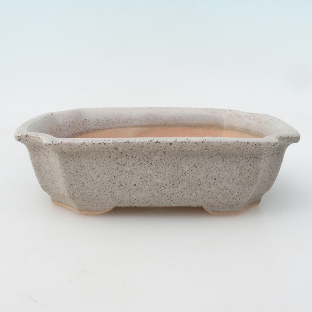 Bonsaischaal H17 - 15 x 10 x 4 cm - beige