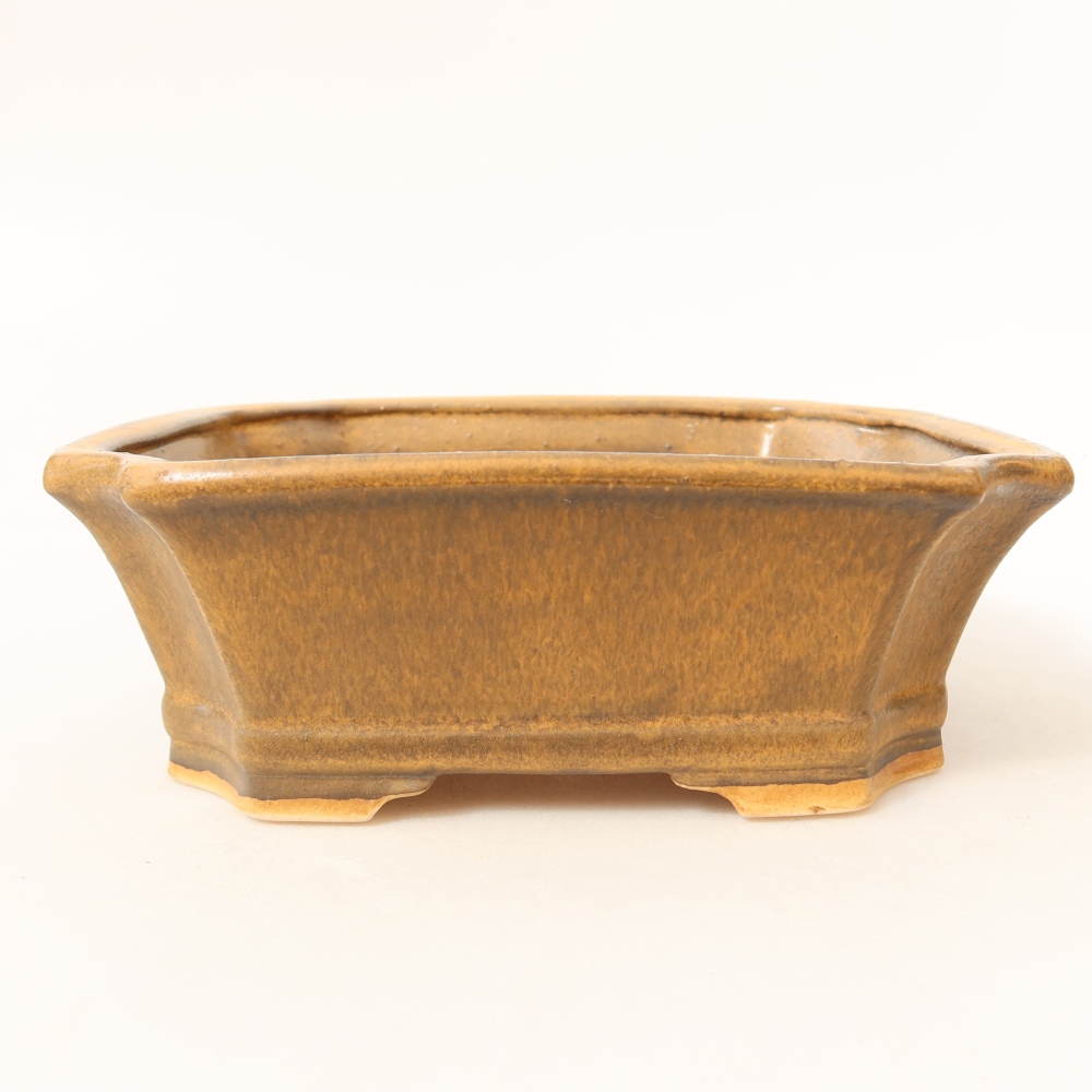 Keramische bonsaipot 18 x 15 x 6 cm, kleur: roze