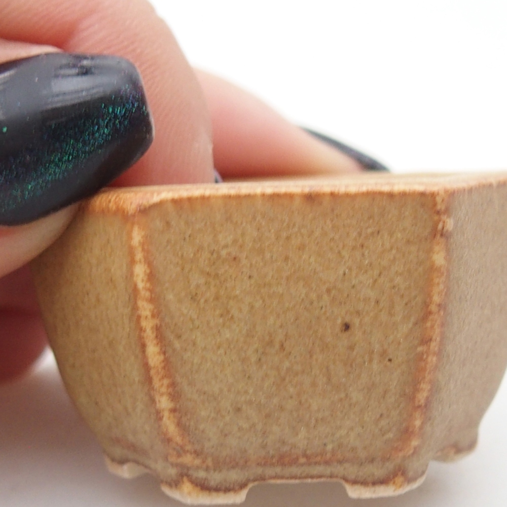 Mini bonsaischaal 4 x 3,5 x 2 cm, bruin