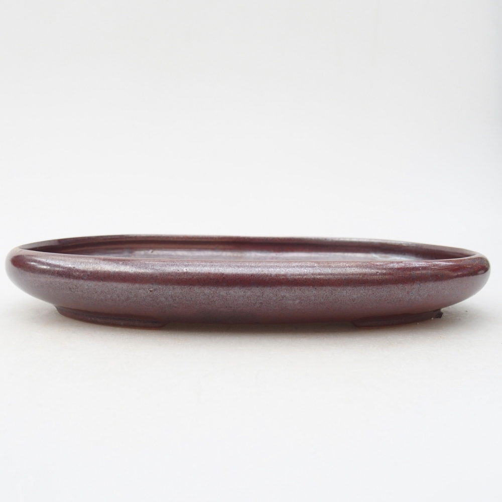 Bonsaischaal van keramiek 22,5 x 16,5 x 3 cm, bordeauxrood