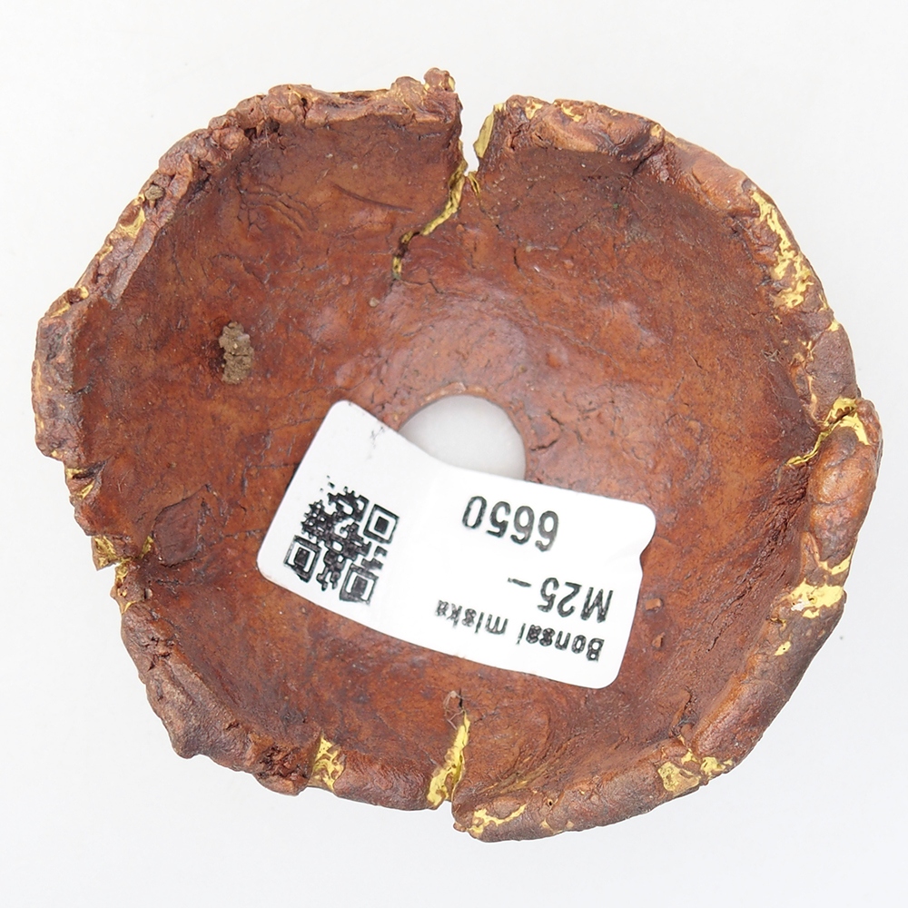 Keramisch Schelp 7 x 6,5 x 4 cm , kleur geel