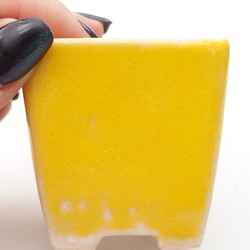 Mini bonsaischaal 5 x 5 x 5 cm, geel