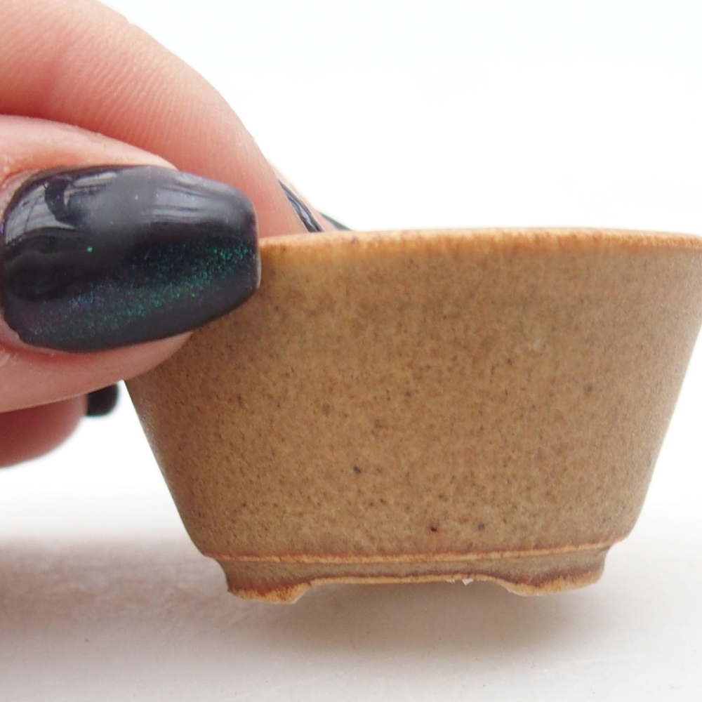 Mini bonsaischaal 4,5 x 4,5 x 2,5 cm, bruin