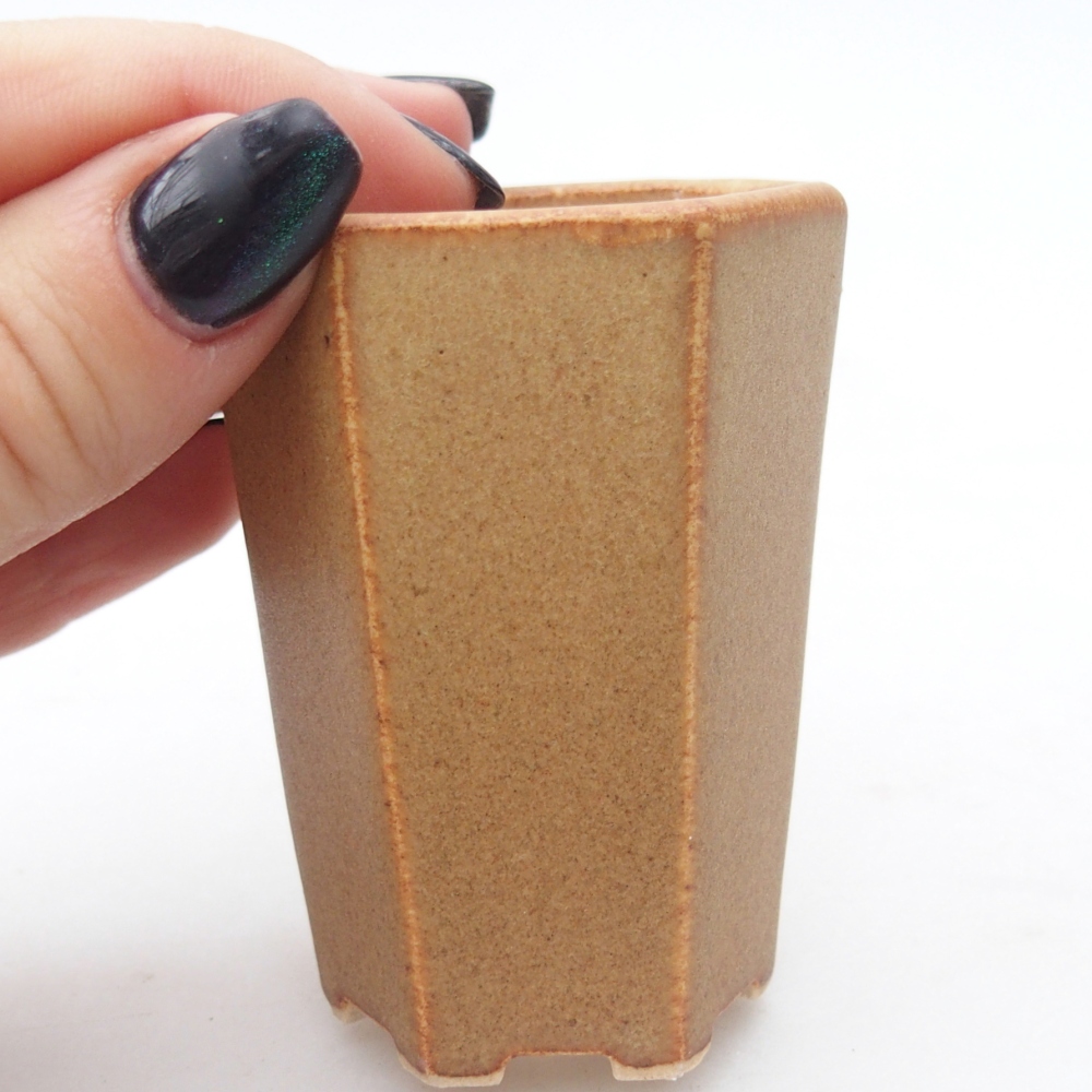 Mini bonsaischaal 5 x 4,5 x 6,5 cm, bruin