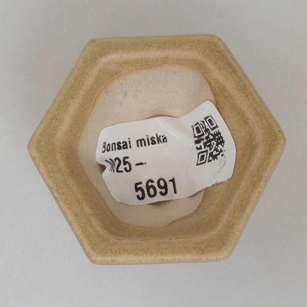 Mini bonsaischaal 4,5 x 4,5 x 2,5 cm, bruin