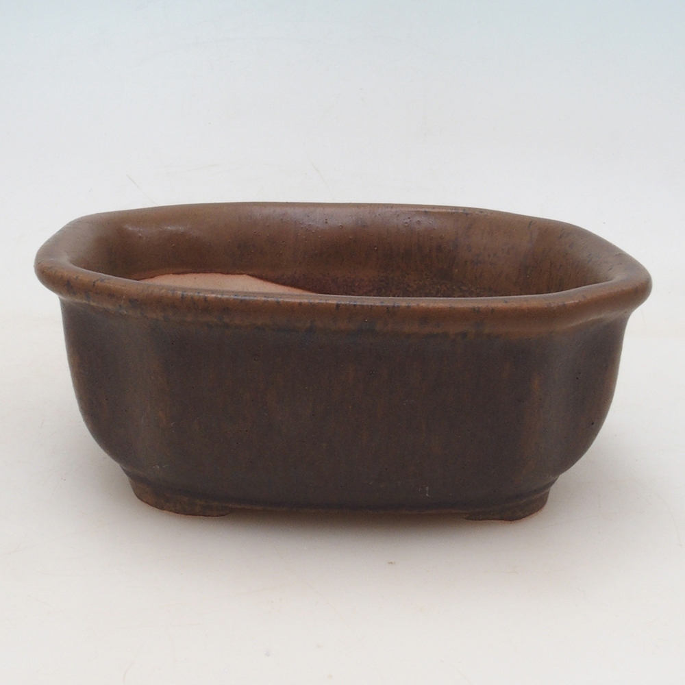 Bonsai kom + schotel H31 - bruin