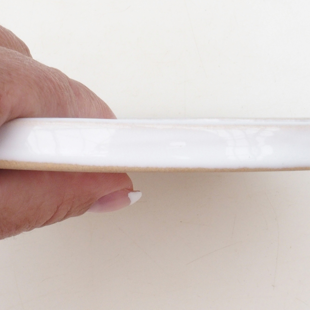 Ronde Bonsai Container D7-S - 16 x 16 x 1 cm - wit