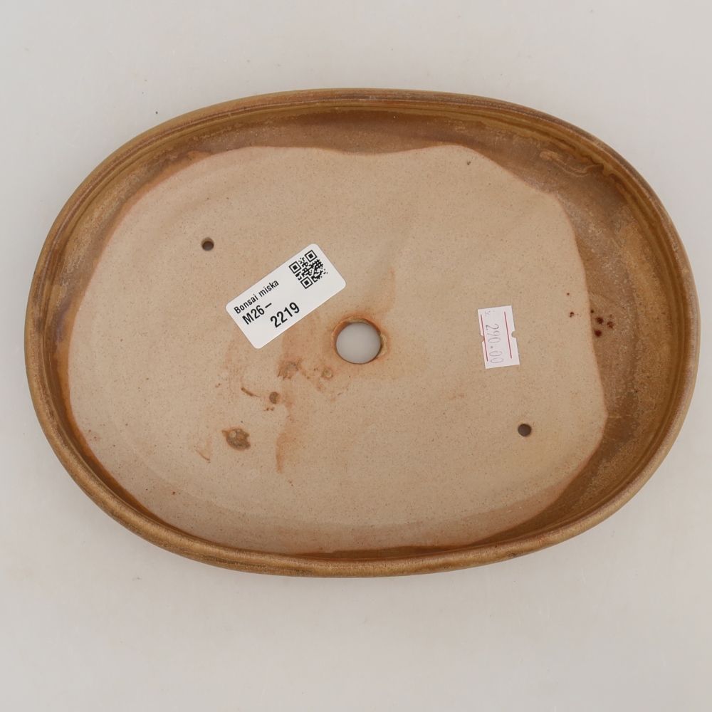 Bonsaischaal van keramiek 22,5 x 16,5 x 3 cm, kleur beige