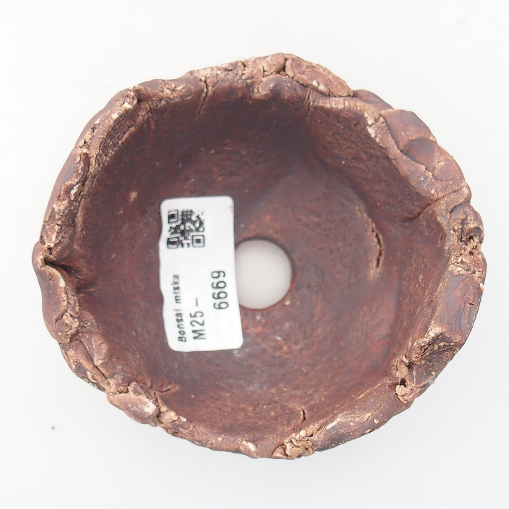 Keramisch Schelp 9 x 9 x 6 cm , kleur bruin