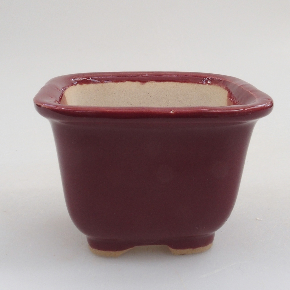Mini bonsaischaal 6 x 6 x 4,5 cm, bordeauxrood