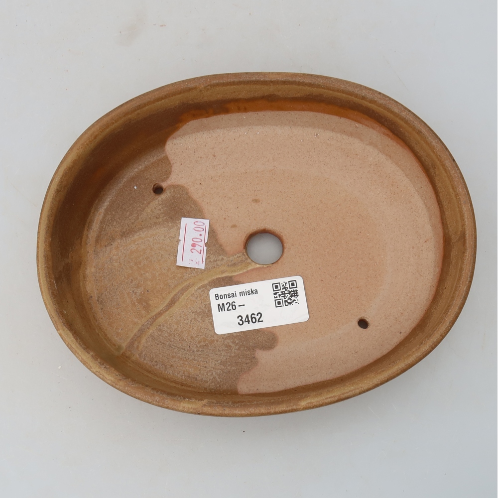 Bonsaischaal van keramiek 17 x 14 x 4 cm, kleur beige