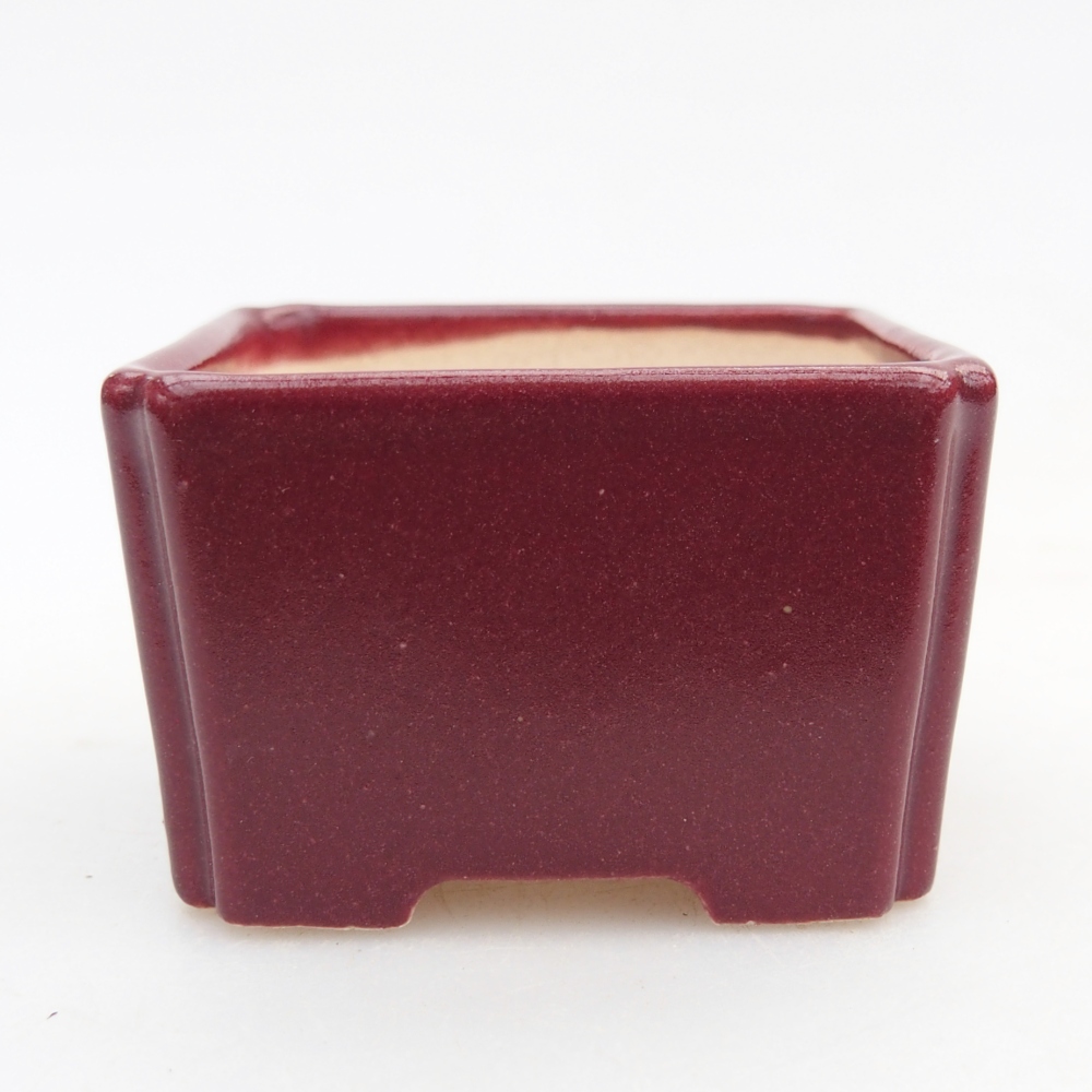 Mini bonsaischaal 5 x 5 x 3 cm, bordeauxrood