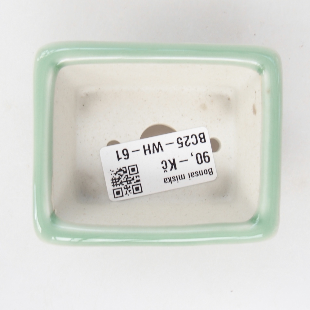 Mini bonsaischaal 8 x 6,5 x 3 cm, groen