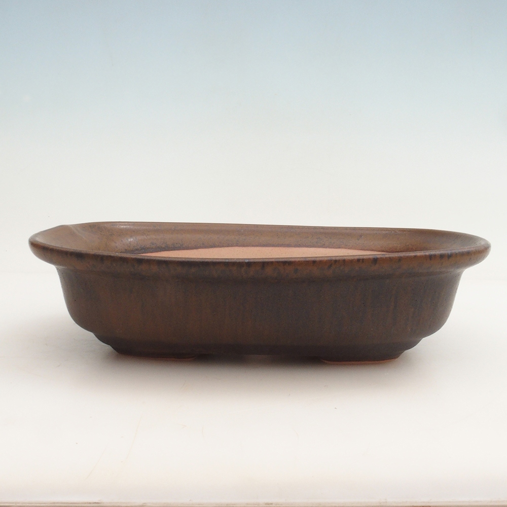 Bonsai kom + schotel H25 - 23 x 17 x 5,5 cm - bruin