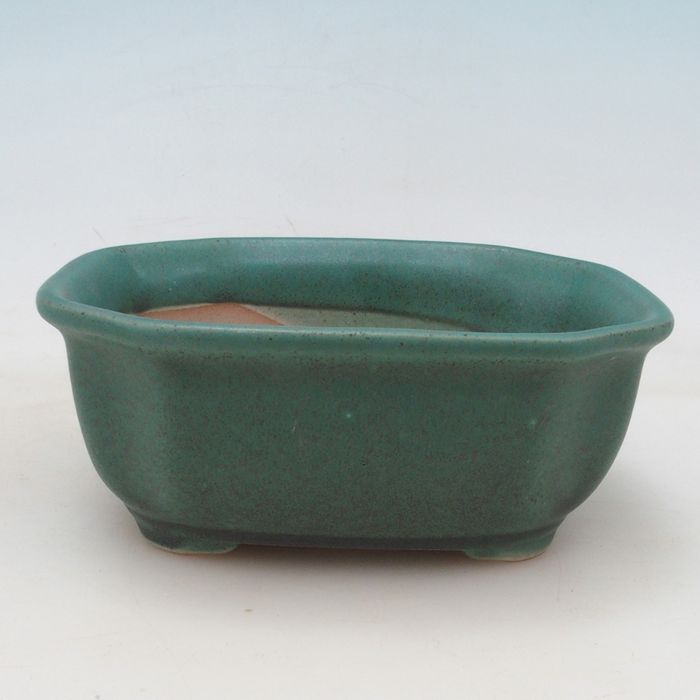 Bonsai kom H32 - 13 x 10 x 5,5 cm - groen
