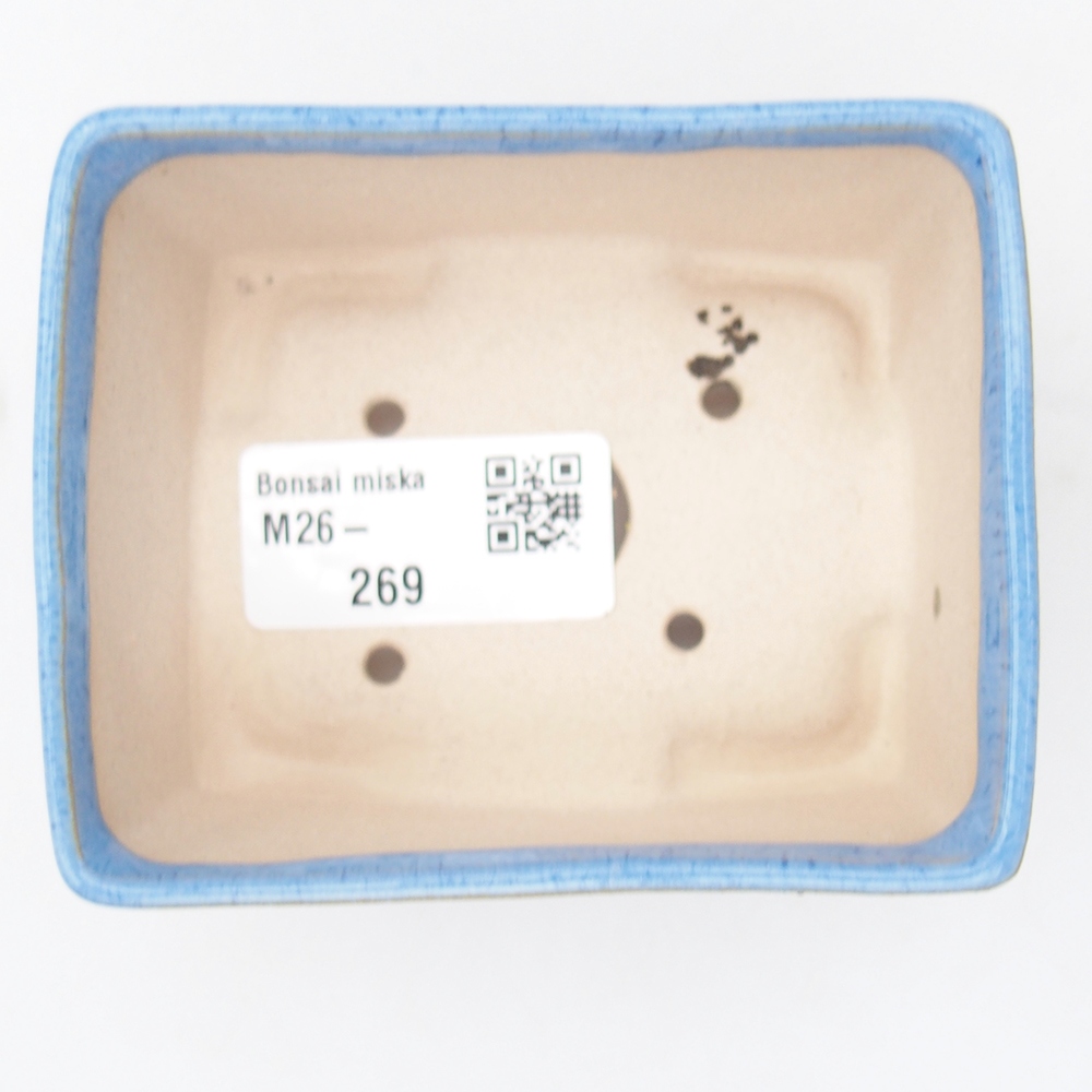 Mini bonsaischaal 9 x 7 x 4 cm, blauw