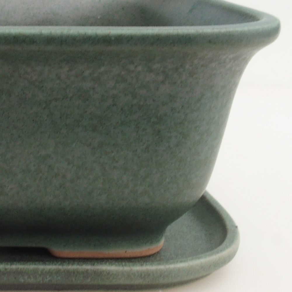 Bonsai kom + schotel H36 - 17 x 15 x 7,5 cm - groen