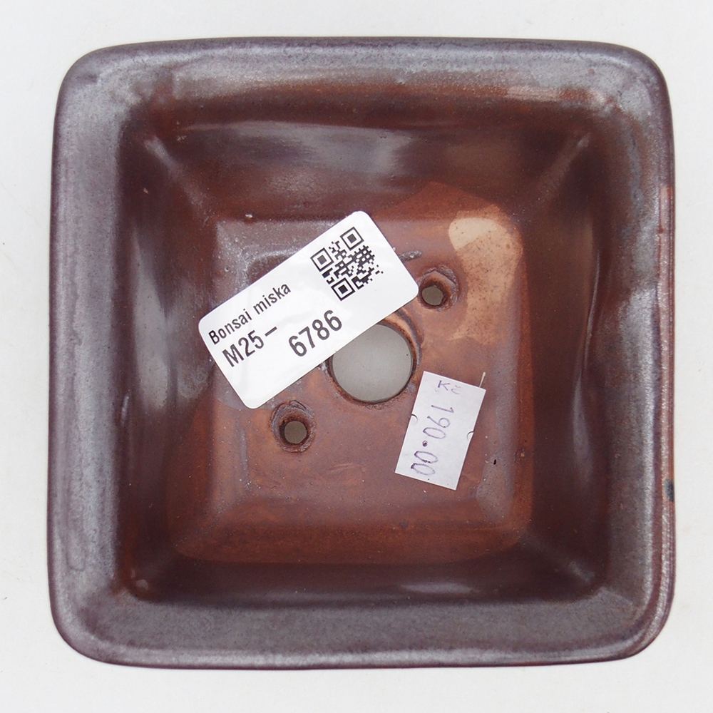 Bonsaischaal van keramiek 10 x 10 x 6 cm, bordeauxrood