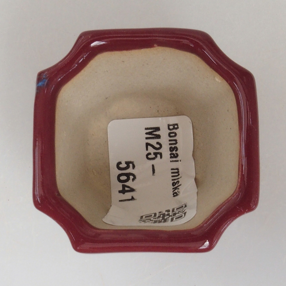 Mini bonsaischaal 4 x 4 x 4 cm, bordeauxrood