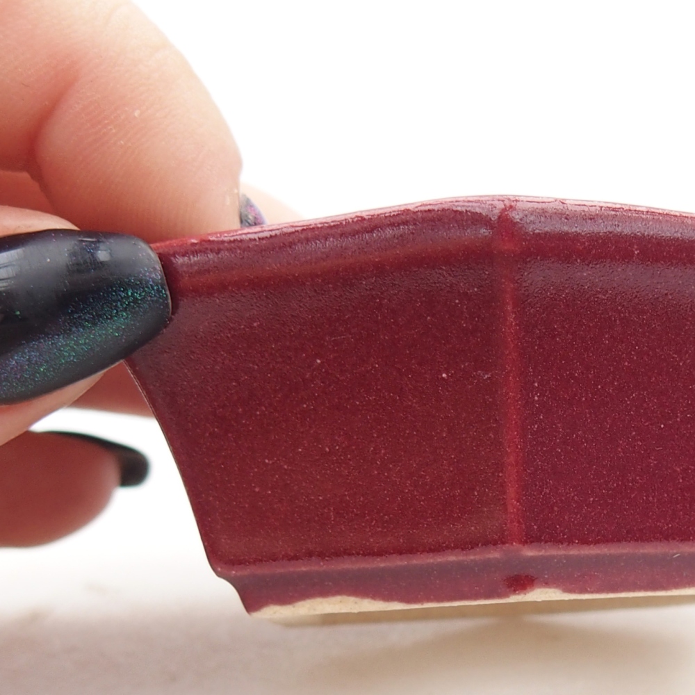 Mini bonsaischaal 6 x 5,5 x 2,5 cm, bordeauxrood