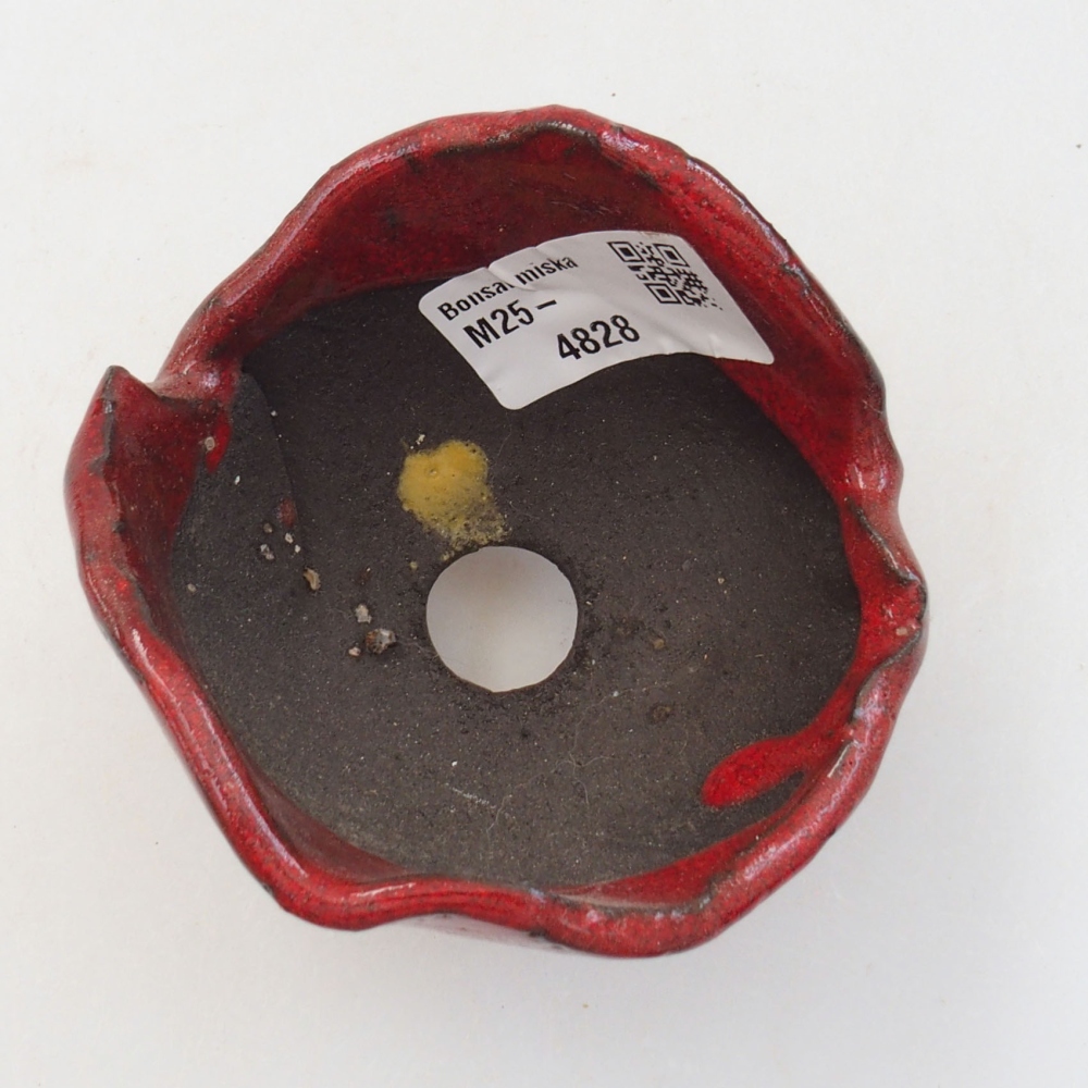 Schelp van keramiek 8 x 7 x 6 cm , kleur rood