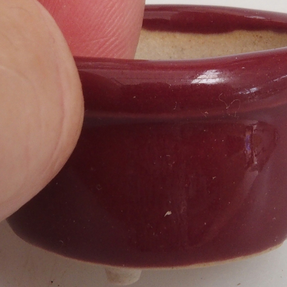 Mini bonsaischaal 3,5 x 3,5 x 2 cm, bordeauxrood