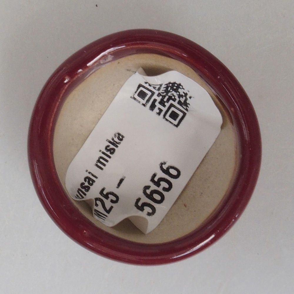 Mini bonsaischaal 3,5 x 3,5 x 2,5 cm, bordeauxrood