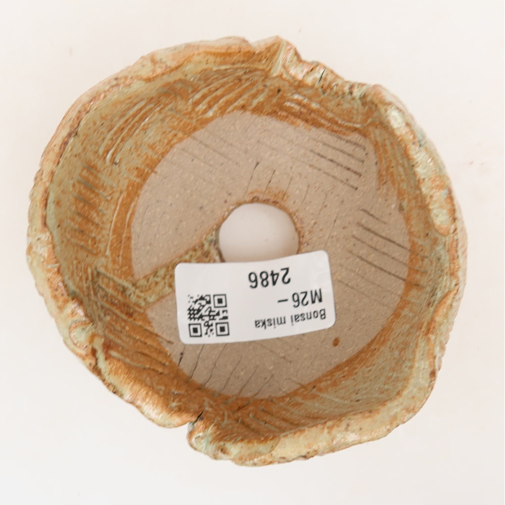 Keramisch Schelp 9 x 8,5 x 6,5 cm , kleur beige