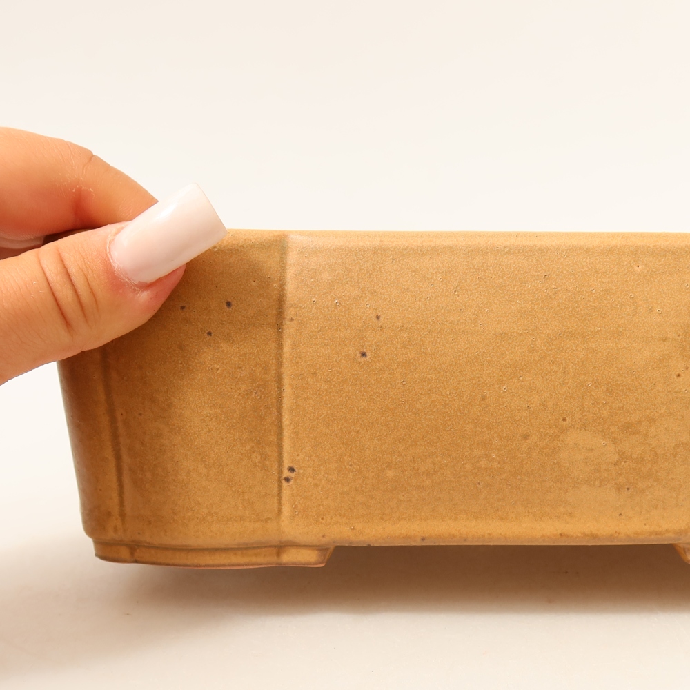Keramische bonsaipot 20,5 x 17,5 x 7 cm, kleur: beige