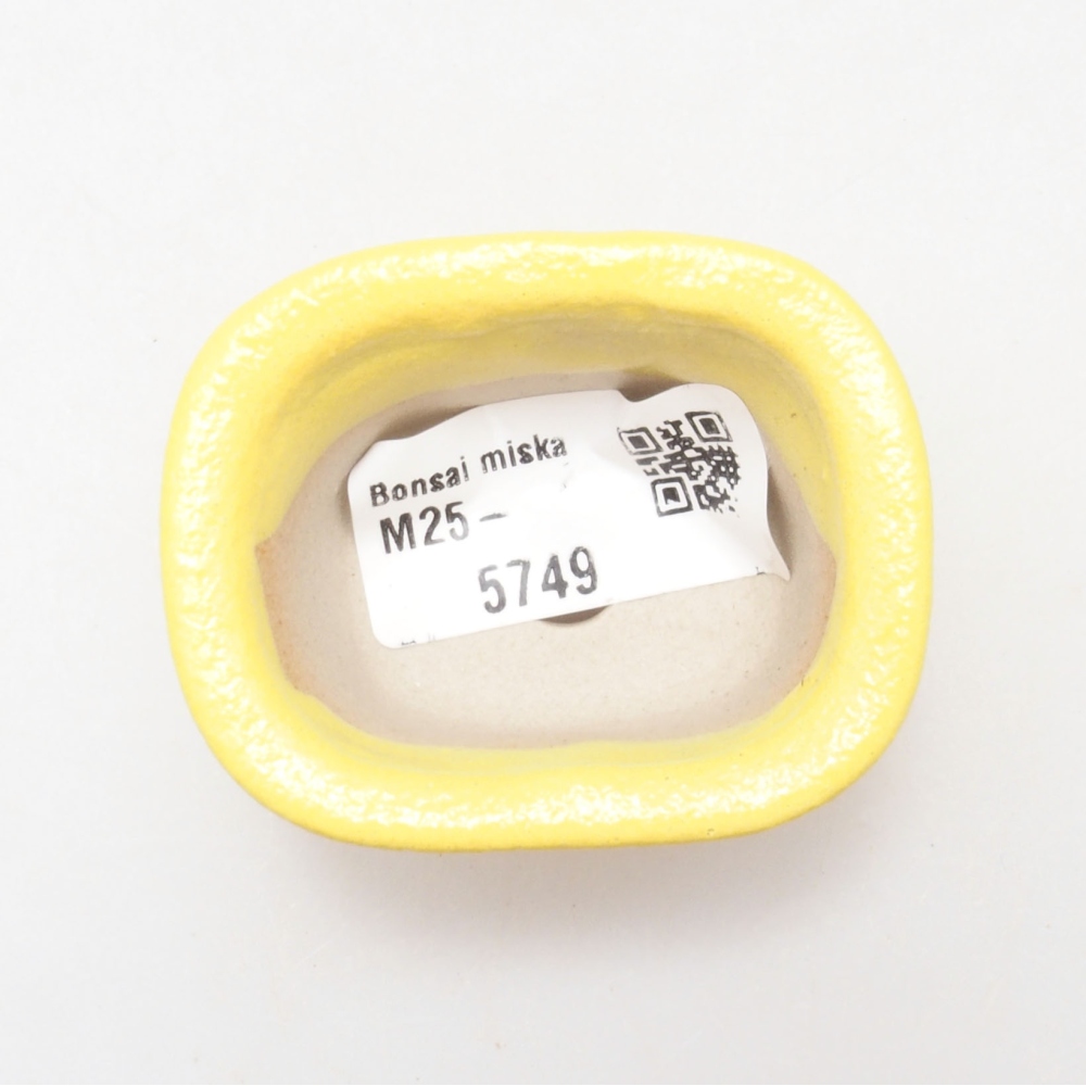 Bonsaischaal van keramiek 5,5 x 4,5 x 3 cm, geel