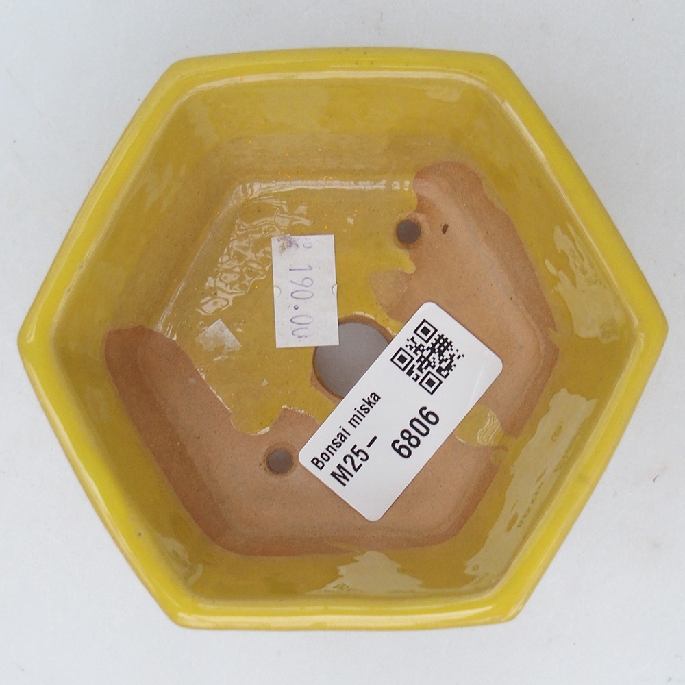Bonsaischaal van keramiek 10,5 x 9,5 x 5 cm, geel