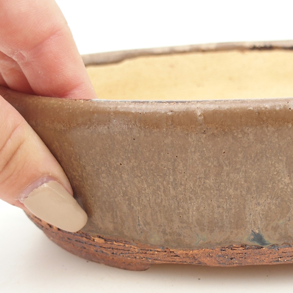 Bonsaischaal 19,5 x 16 x 6 cm , kleur bruin