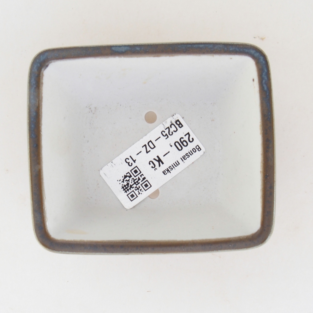 Mini bonsaischaal 8,5 x 7,5 x 4 cm, groen