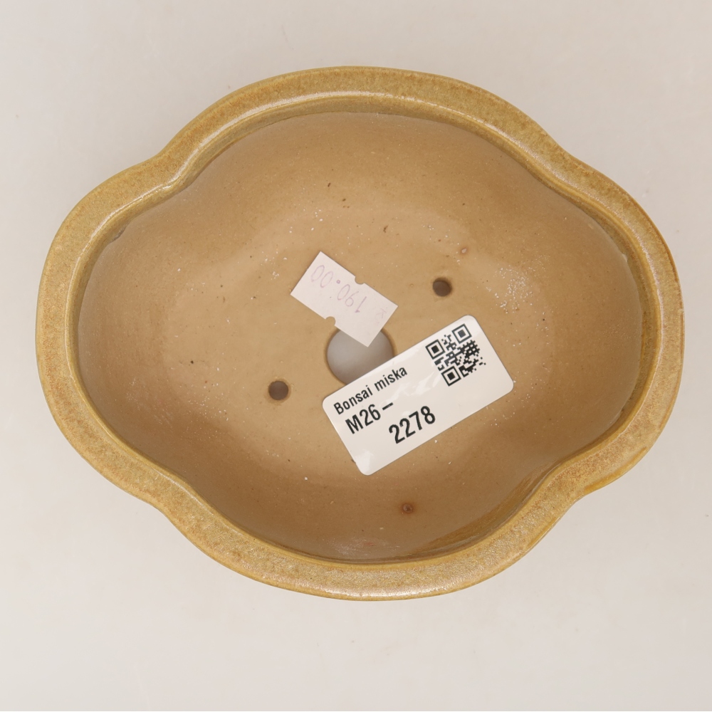 Keramische bonsaipot 12,5 x 10,5 x 4,5 cm, kleur: beige