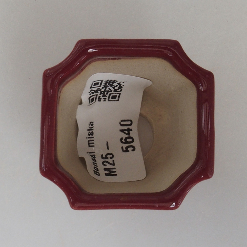 Mini bonsaischaal 4 x 4 x 4 cm, bordeauxrood